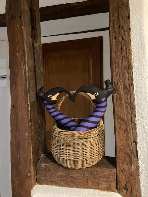La Sorciere In A Typical Alsatian House Apartman Rouffach Kültér fotó