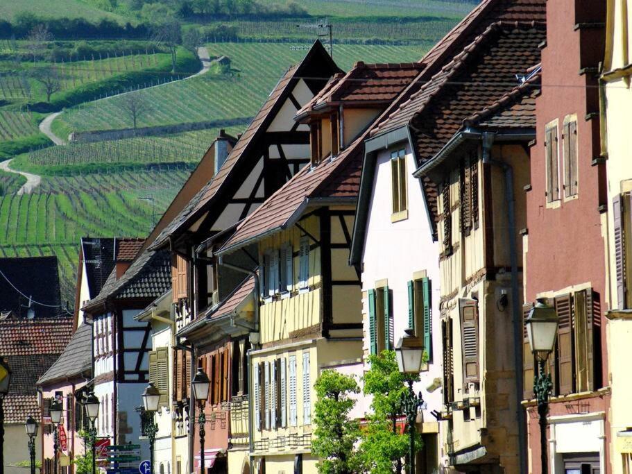 La Sorciere In A Typical Alsatian House Apartman Rouffach Kültér fotó